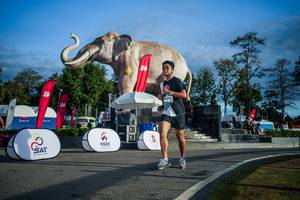 BIB: 
                            <button type="button" onclick="openModal(26541687)" class="btn btn-primary btn-sm float-right btn-popup" data-toggle="modal" data-target=".modal-high-quality">
                        <i class="fas fa-shopping-cart"></i> Add to Cart
                    </button>
                                            <button type="button" onclick="isThisMe(26541687, true)" class="btn btn-success btn-sm float-right btn-popup btn-isme hidden" data-toggle="tooltip" data-placement="bottom" title="นี่คือรูปของคุณใช่ไหม คลิกที่นี่เพื่อเอาเข้าอัลบั้ม">
                        <i class="fas fa-plus"></i> Add to album
                    </button>
                    <button type="button" onclick="isThisMe(26541687, false)" class="btn btn-warning btn-sm float-right btn-popup btn-isnotme hidden">
                        <i class="fas fa-ban"></i> Remove from album
                    </button>